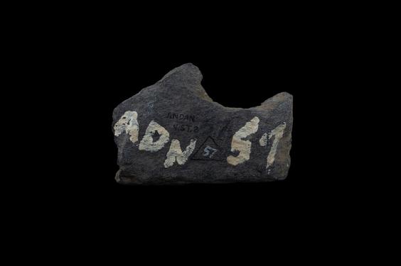 Image of Last Existence: First Bath