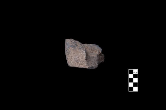 Image of Bodhisattvas