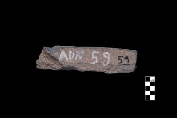 Image of Bodhisattvas