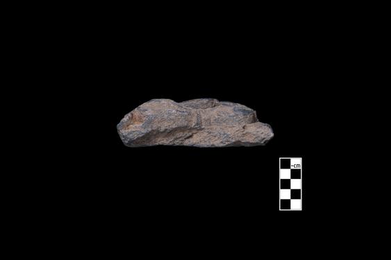 Image of Last Existence: Visit of the Ascetics