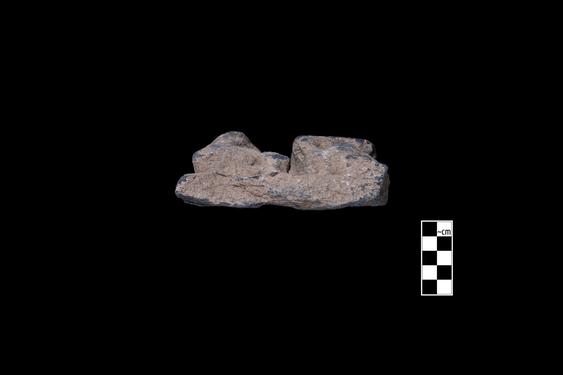 Image of Last Existence: Visit of the Ascetics