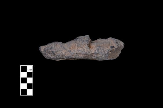 Image of Male and female figures