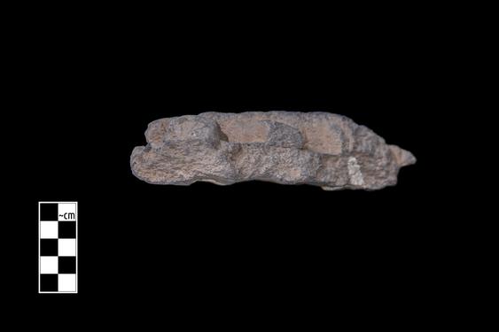 Image of Male and female figures