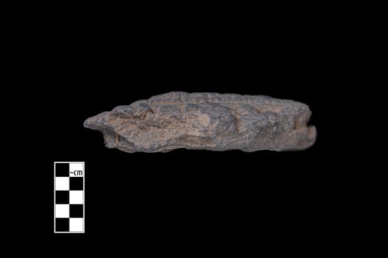 Image of Male and female figures