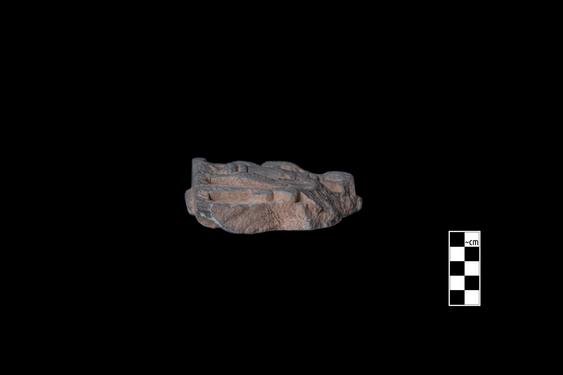 Image of Male devotees