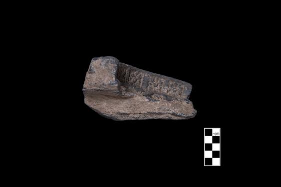 Image of Male devotee