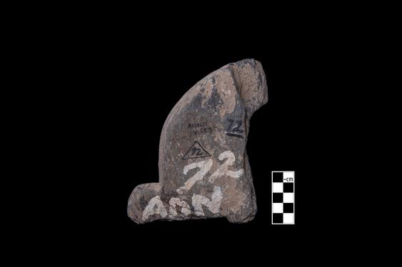 Image of Male devotee