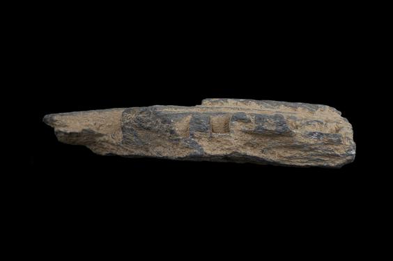 Image of Male figure