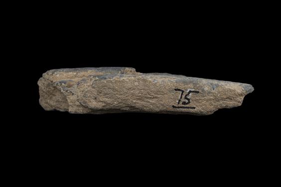 Image of Male figure