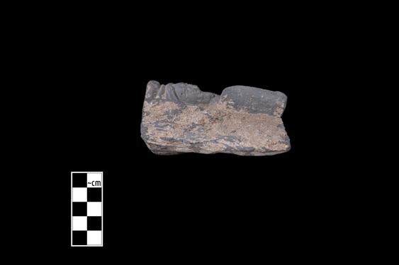 Image of Young ascetic