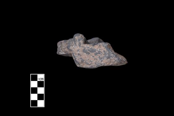 Image of Young ascetic