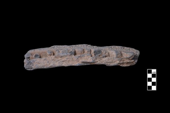 Image of Last Existence: Unpreserved scenes; male and female figures