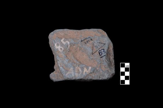 Image of Male devotee