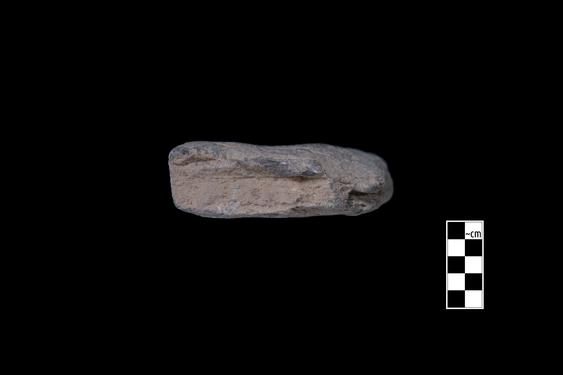 Image of Last Existence: Conversion of Apalāla