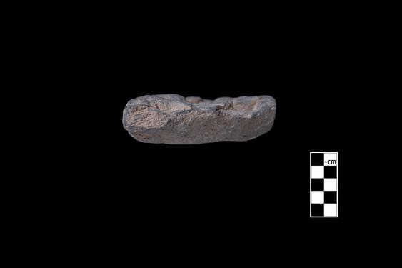 Image of Last Existence: Conversion of Apalāla