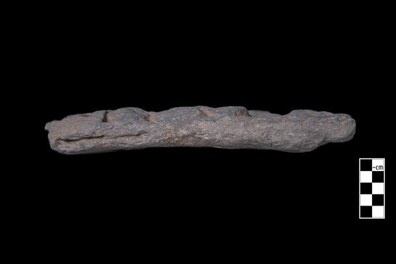 Image of Last Existence: Conversion of Apalāla