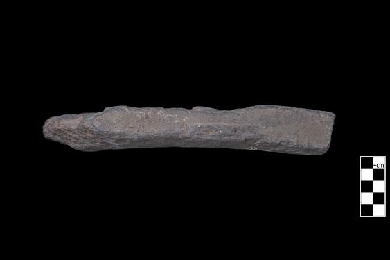 Image of Last Existence: Conversion of Apalāla