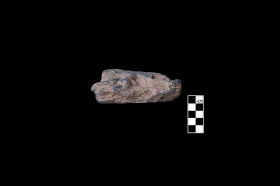 Image of Male devotee