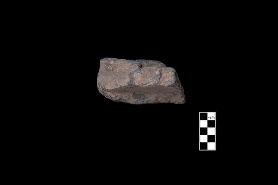 Image of Last Existence: Visit of the Ascetics