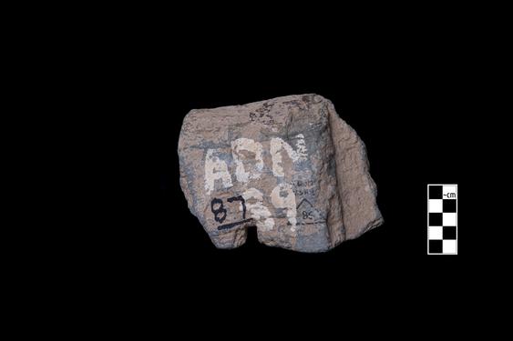 Image of Last Existence: Visit of the Ascetics