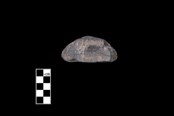 Image of Male figure