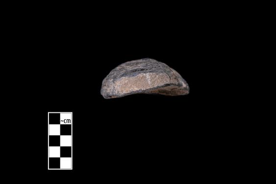 Image of Male figure