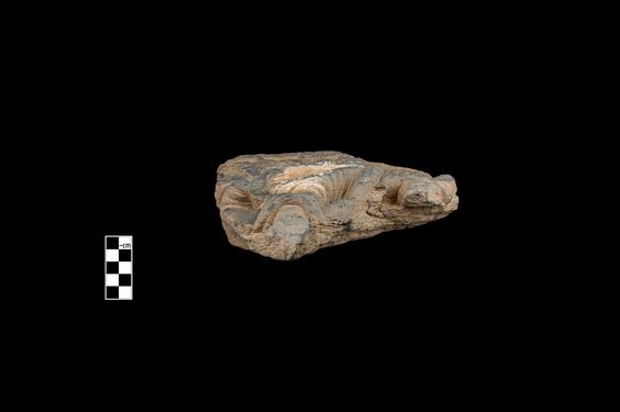 Image of Last Existence: Māra’s assault