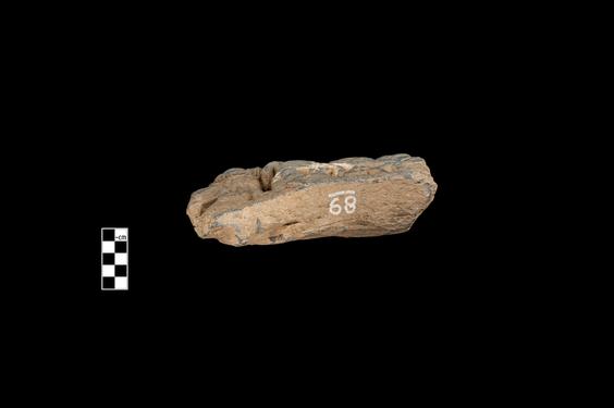 Image of Last Existence: Māra’s assault