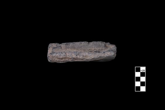 Image of Last Existence: Distribution of the Relics