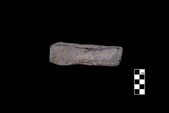 Image of Last Existence: Distribution of the Relics