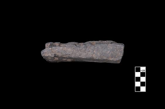 Image of Last Existence: Distribution of the Relics