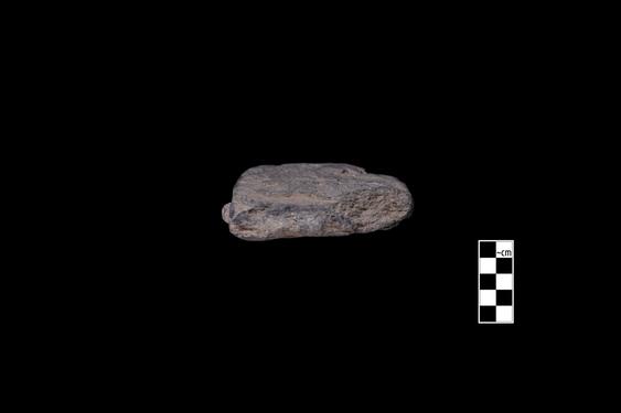 Image of Last Existence: Visit of the Ascetics