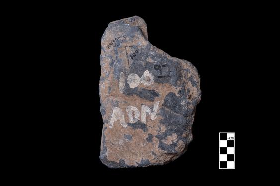 Image of Male donor (?)