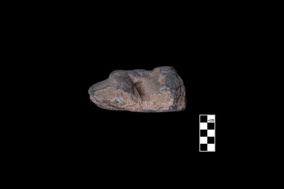 Image of Male donor (?)