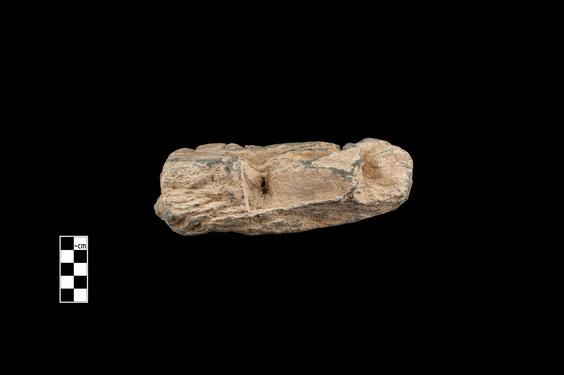 Image of Last Existence: Siddhārtha in school