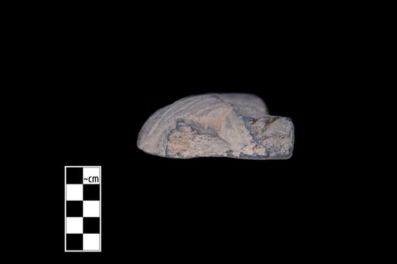 Image of Male figure