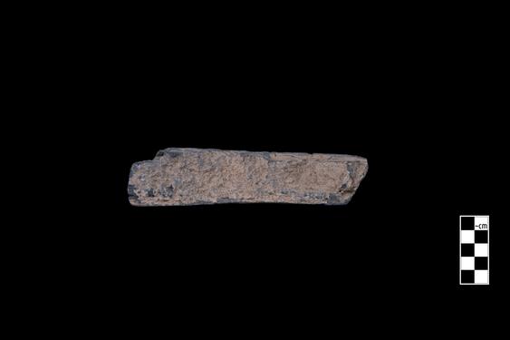 Image of Phytomorphic motifs