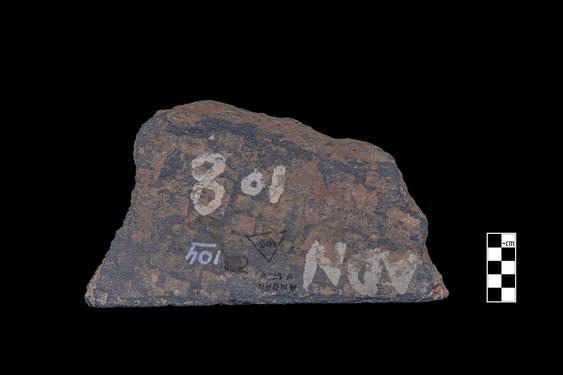 Image of Phytomorphic motifs