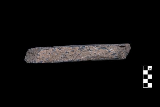 Image of Phytomorphic motifs