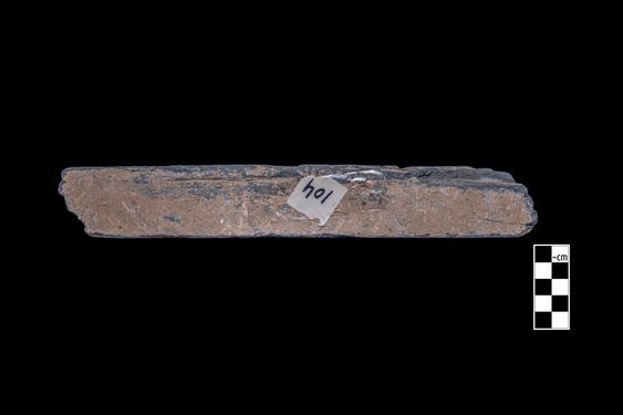 Image of Phytomorphic motifs