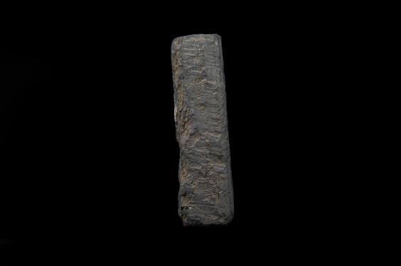 Image of Mundane scene