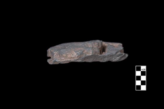 Image of Buddha and devotee