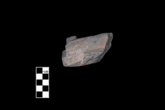 Image of Last Existence: Visit of the Ascetics