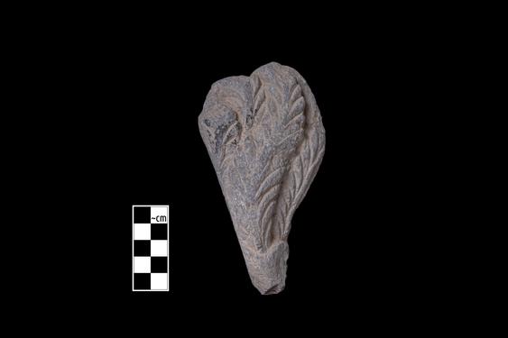 Image of Tree branches