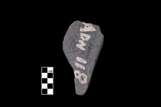 Image of Tree branches