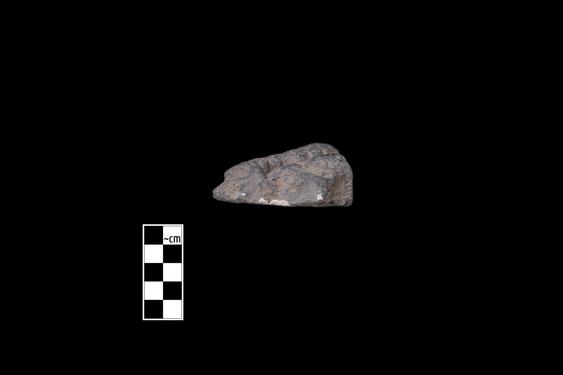 Image of Tree branches