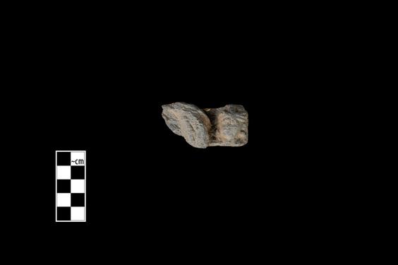 Image of Male figure