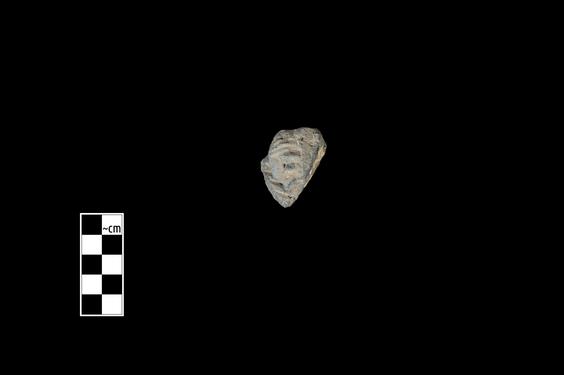 Image of Male figure