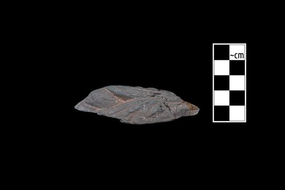 Image of Female figure