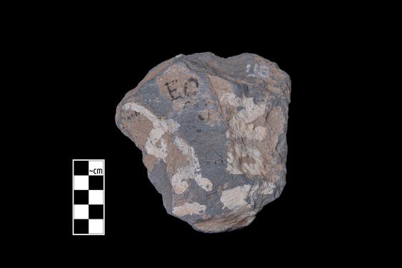 Image of Male devotee